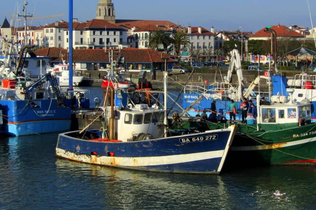 Maison Individuelle Cote Basque 西布勒 外观 照片